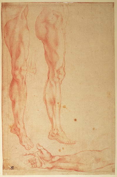 Samolepka Studies of Legs and Arms