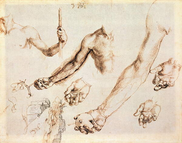 Samolepka Study of male hands and arms