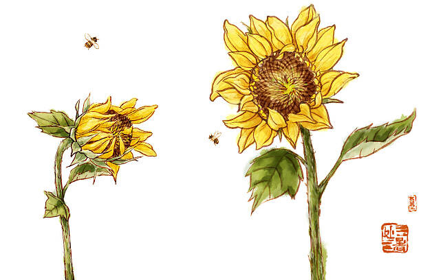 Adesivo murale Sunflowers