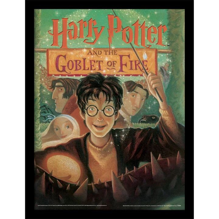 Harry Potter - The Goblet of Fire Book Poster encadré, Tableau mural ...