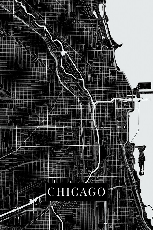 Tablou pe pânză Chicago black