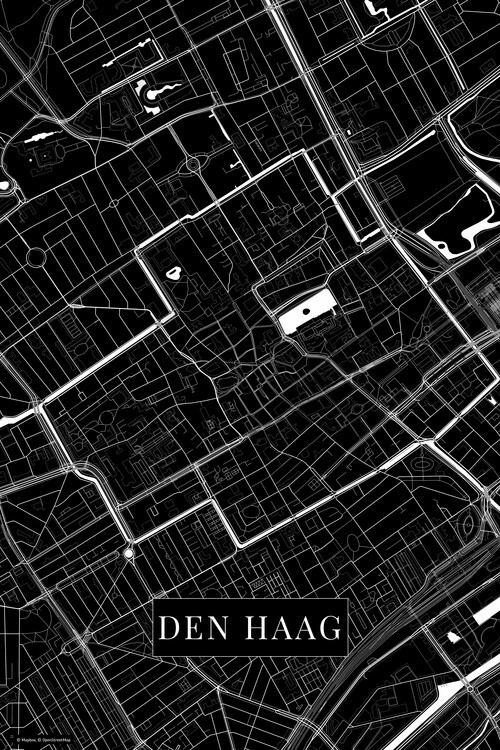 Tablou pe pânză Den Haag black