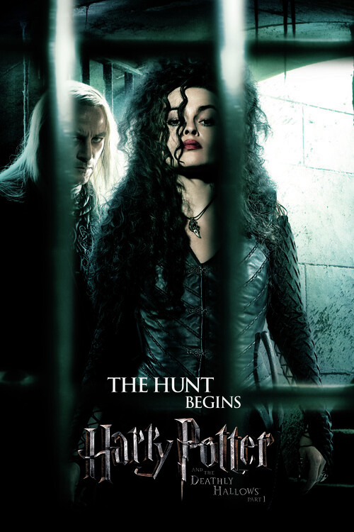 Tablou pe pânză Harry Potter - The hunt begins