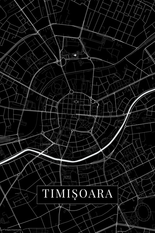 Samolepka Timisoara black