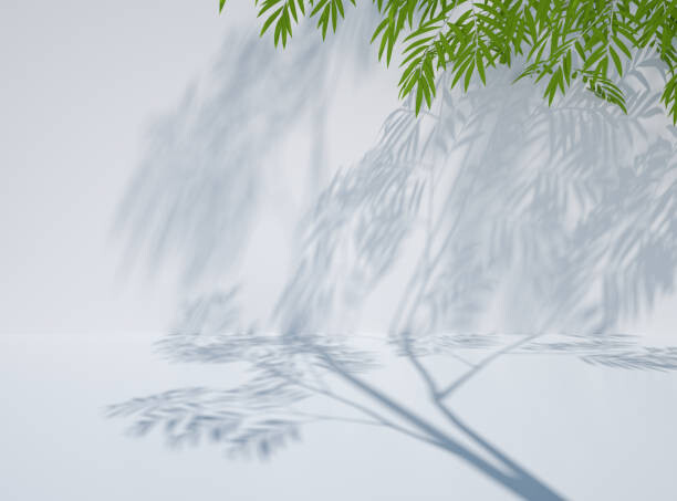 Tableau sur toile 3D rendering exhibition background