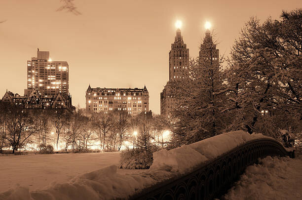 Tableau sur toile Central Park winter
