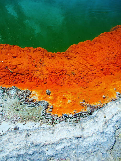 Tableau sur toile Champagne pool structure