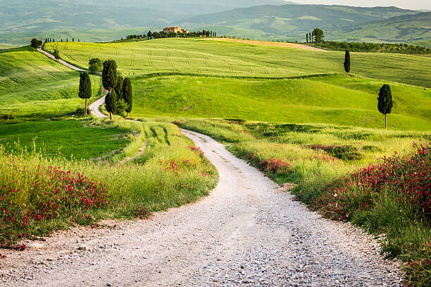 Tableau sur toile Dirt road and green field in Tuscany