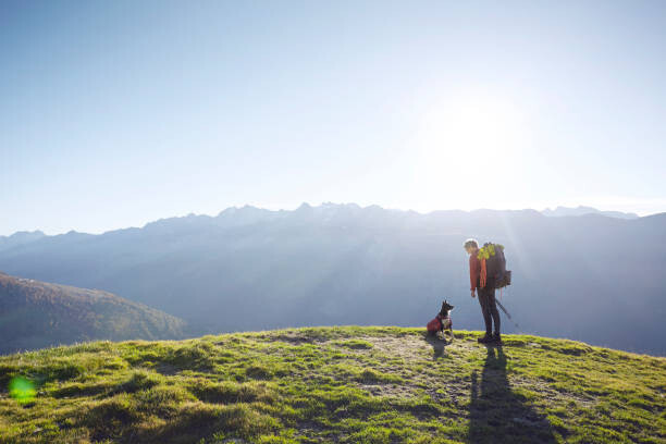 Tableau sur toile Hiker and rescue dog on grassy hill, Switzerland