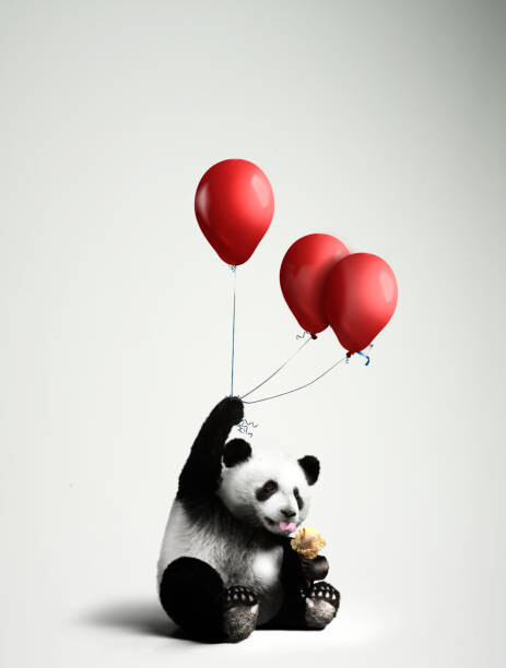 Tableau sur toile Panda holding balloons, licking ice cream