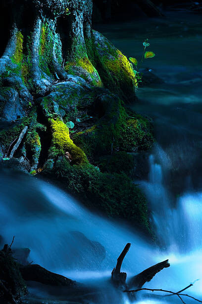 Tableau sur toile Running creek