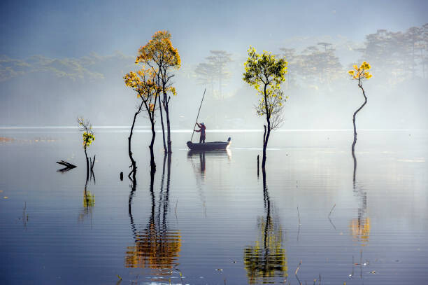Tableau sur toile sunbeam and trees reflected on the