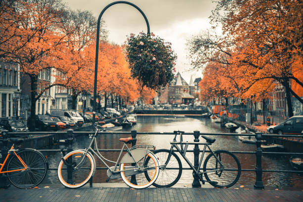 Tableau sur toile View of canal in Amsterdam during Autumn Season