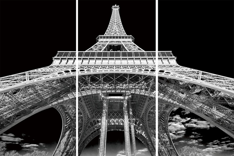Üvegkép Paris - Eiffel Tower b&w study