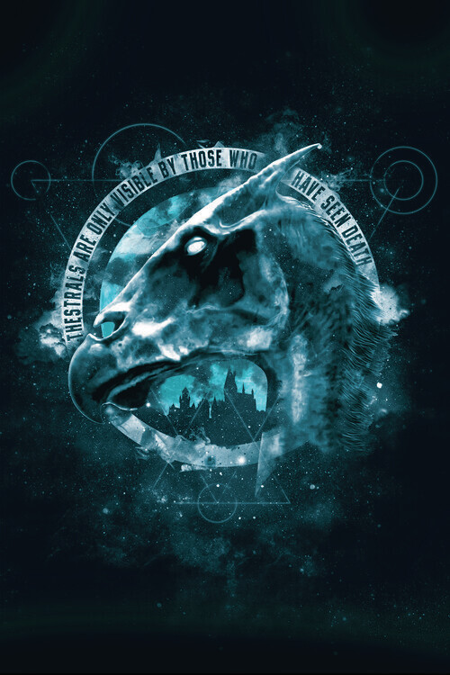 Vászonkép Harry Potter - Thestral