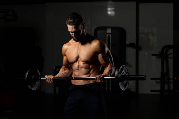 Wall Mural Biceps Exercise With Barbell
