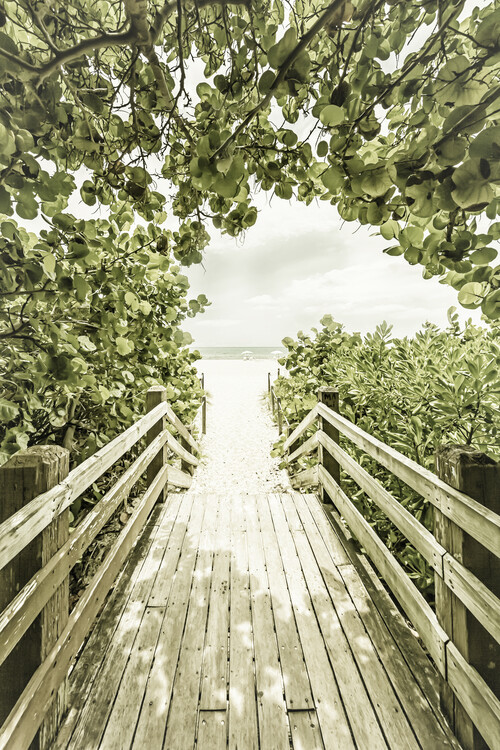 Ταπετσαρία τοιχογραφία Bridge to the beach with mangroves | Vintage