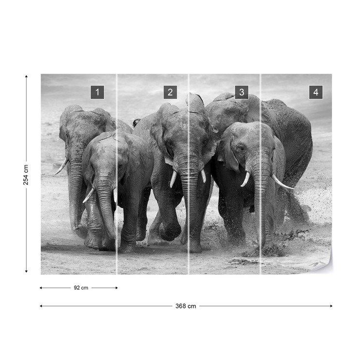 Elephants Black And White Animals Wall Paper Mural Buy at UKposters