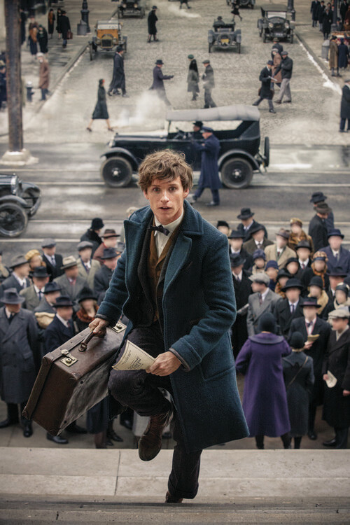 Wall Mural Fantastic Beasts - In rush