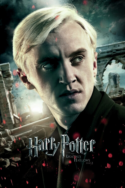 Wall Mural Harry Potter - Draco