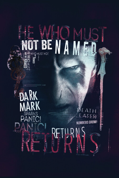 Wall Mural Harry Potter - He returns