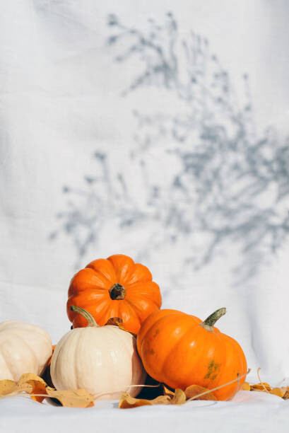 Wall Mural Small pumpkins