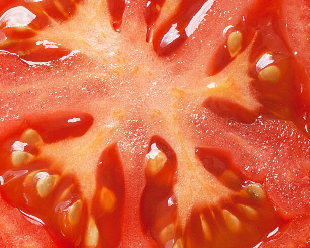 Wall Mural tomato slice full frame macro