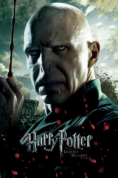 Wall Mural Voldemort