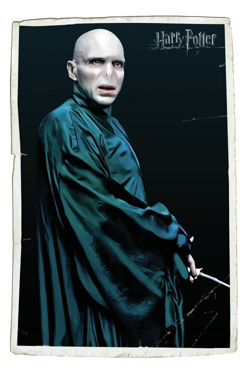 Wall Mural Voldemort