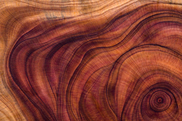 Wall Mural Wood pattern