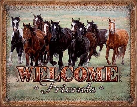 Metalen wandbord WELCOME - HORSES - Friends