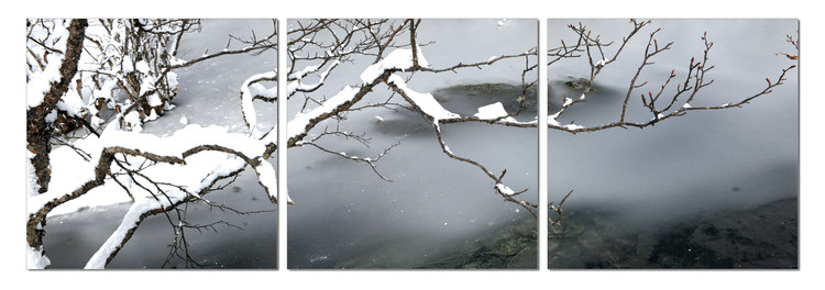 Winter Snapshot Modern tavla