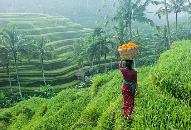 Samolepka woman carrying basket of flowers