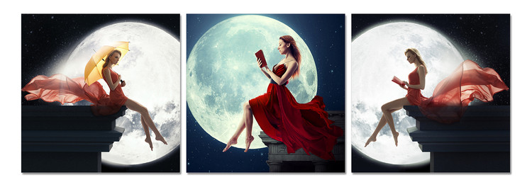 Women's profile in the moonlight Obraz