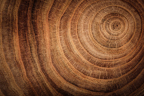 Sticker wooden background