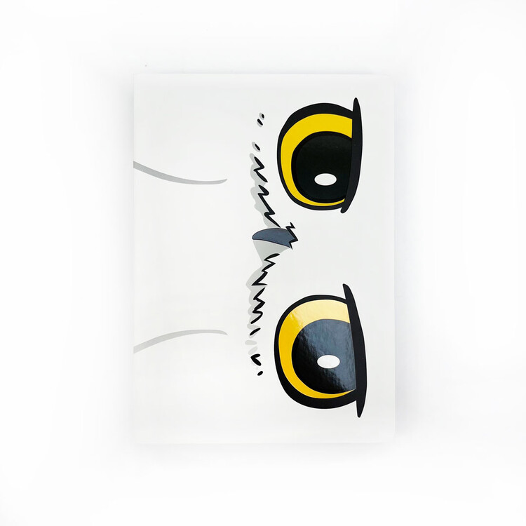 Zápisník Harry Potter - Hedwig