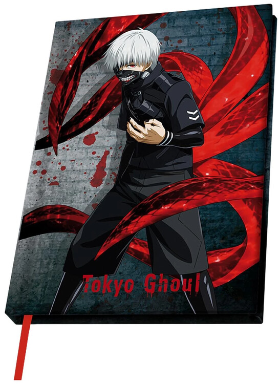 Zápisník Tokyo Ghoul - Ken Kaneki