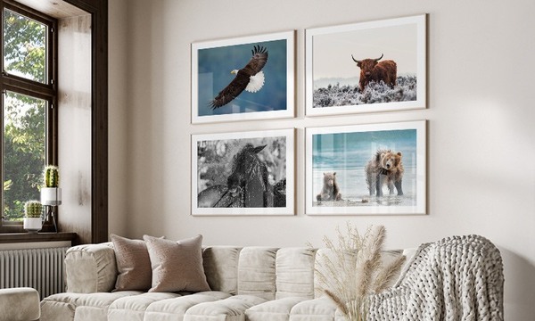 Instagram Europosters