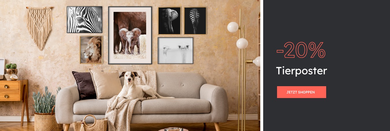 Tiere | Wanddekorationen | EuroPosters.de