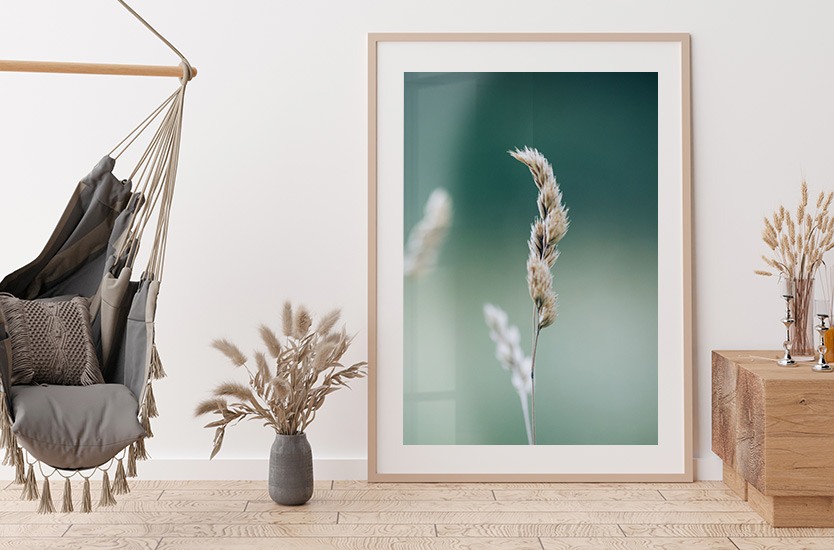 Umělecká fotografie Dry plants at winter